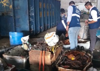 Prefeitura apreende mais de uma tonelada de cobre em fiscalização de ferro-velho