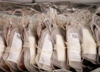 Hospital Maternidade Fernando Magalhães terá campanha de doação de sangue