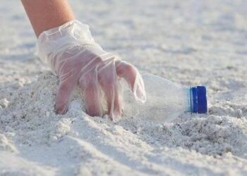 Comitê Plástico Circular Rio é criado na cidade para incentivar a prática de ações sustentáveis